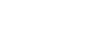 Consulenza 11 teamviewer_white_banner